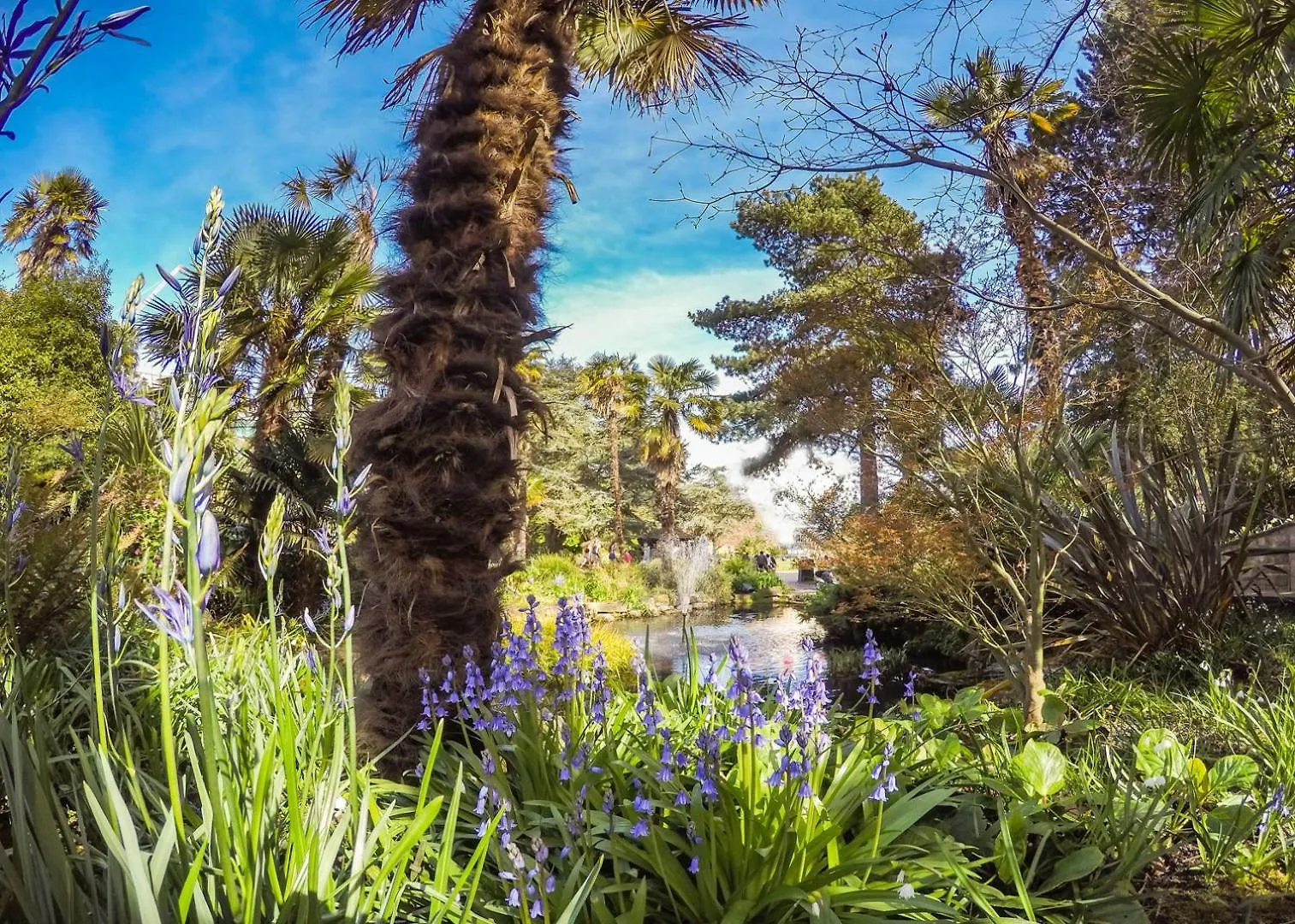 Apartment Bournecoast - Bungalow By Hengistbury Head And Sandy Beaches - Hb5830 Bournemouth United Kingdom
